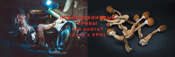 прущая мука Михайловск