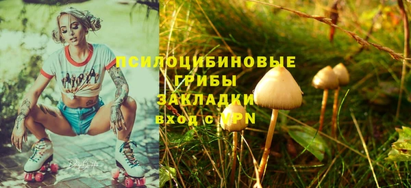 ALPHA PVP Семёнов